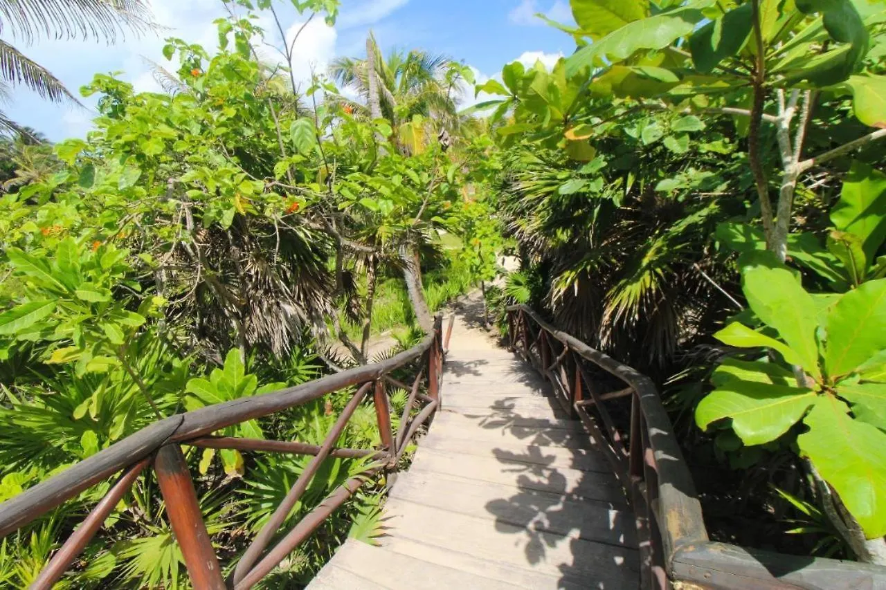 Brand New! Tulum Jungle Villa With Private Pool 0*,  México